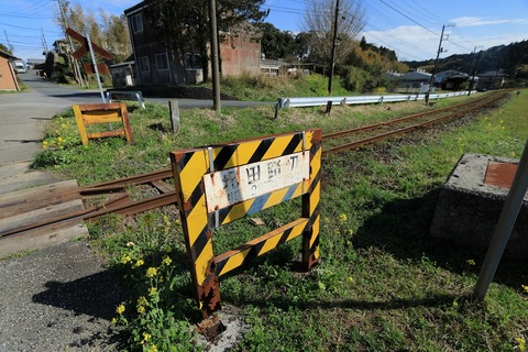 rawIMG_1753