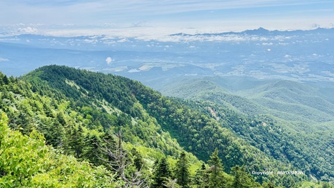IMG_E0893