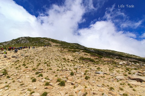 raw-.jpg-3869