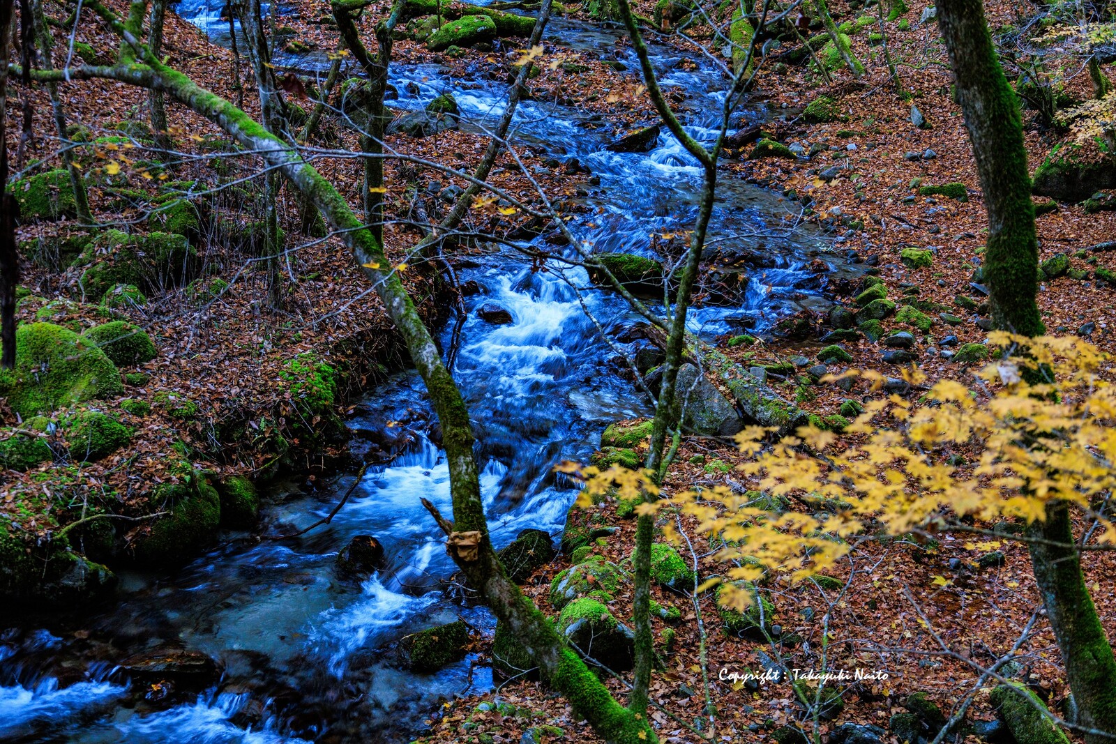 紅葉絶景の 笠取山 ライフテックの日々