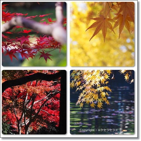 6c8ce8ea90493764b237ac4fd2c6471b15bbffd1.49.2.9.2