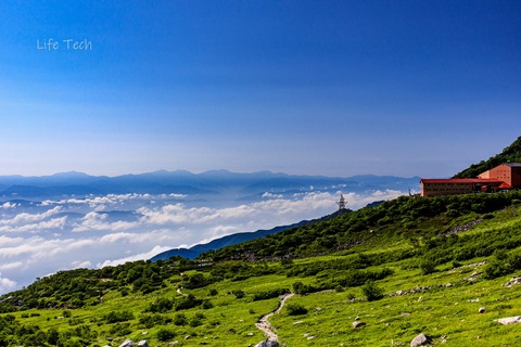 raw-.jpg-3796-2
