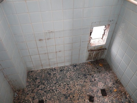 IMGP0535