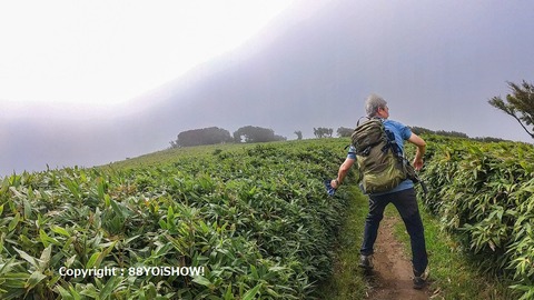 名称未設定_1.1.5-2