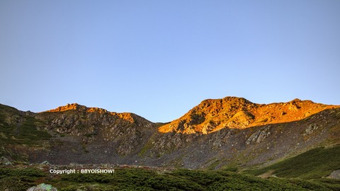 IMG_2455