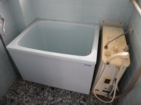 IMGP0533