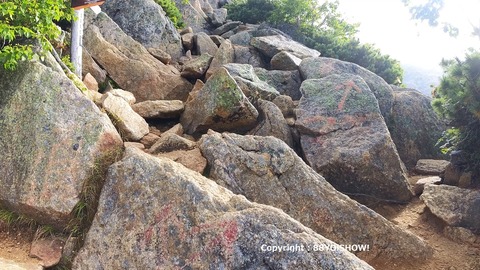 名称未設定_1.1.19