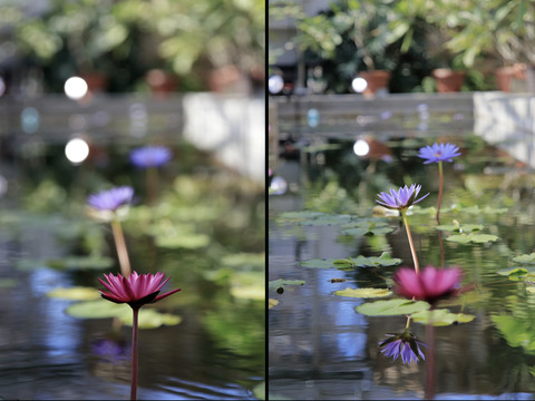 IMG_082511のコピー