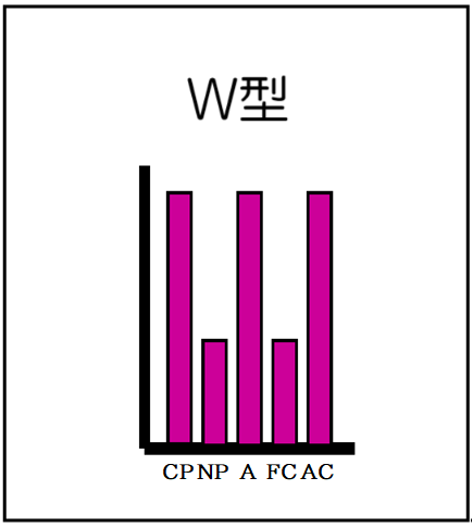 W型（自我名称付）