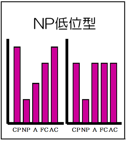 NP低位型（自我名称付）