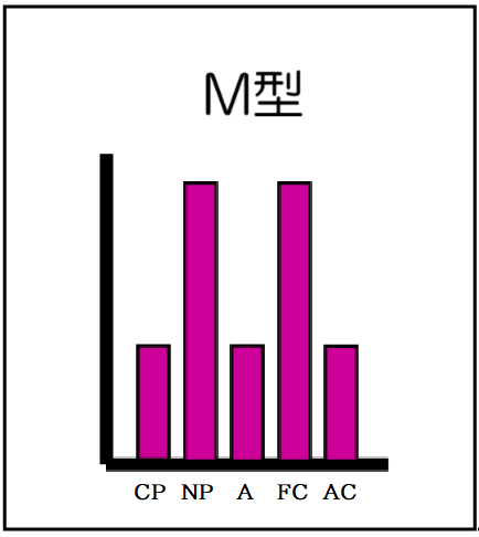 M型（自我名称付）