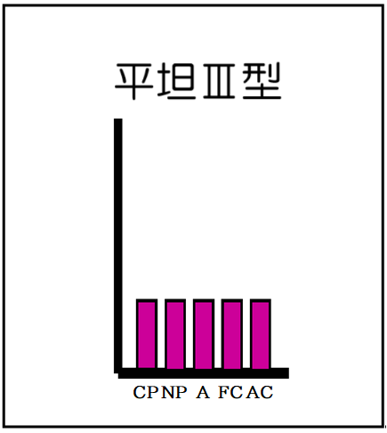平坦Ⅲ型（自我名称付）
