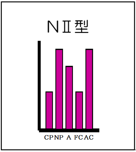 NⅡ型(自我名称付)