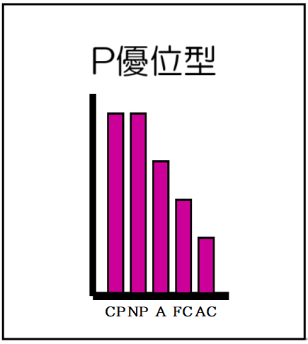 P優位型（自我名称付）