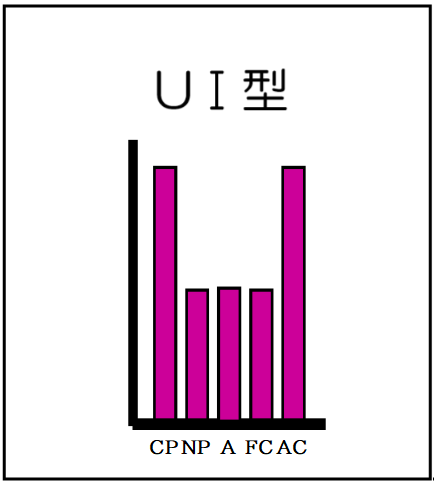 UⅠ型（自我名称付）