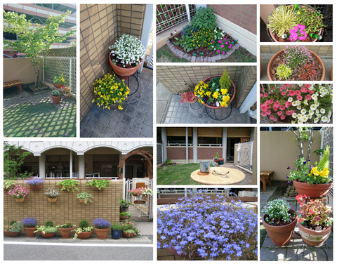 myhome garden collage