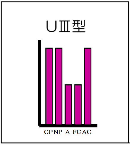 UⅢ型（自我名称付）