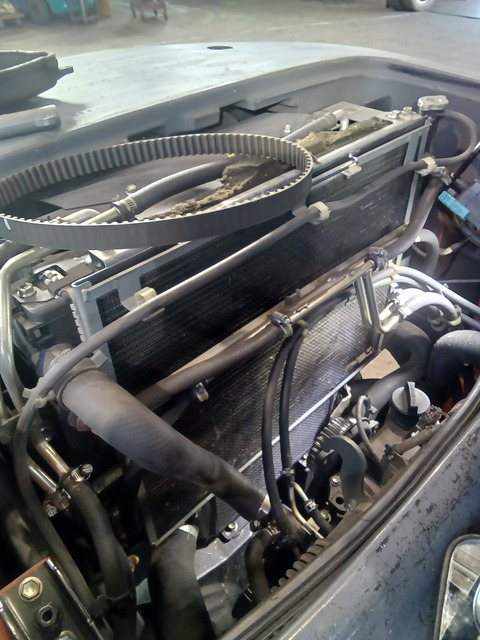 KIMG20250322_083848088