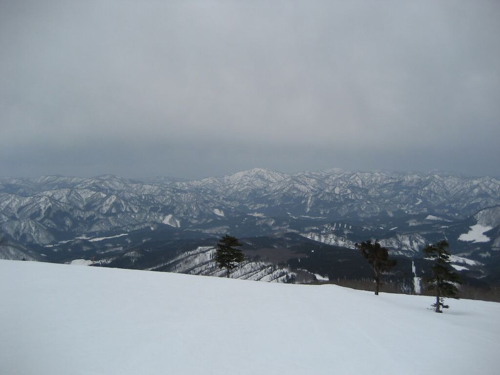 多分レギュラーシーズン最後かな オレ速 B級ツアー