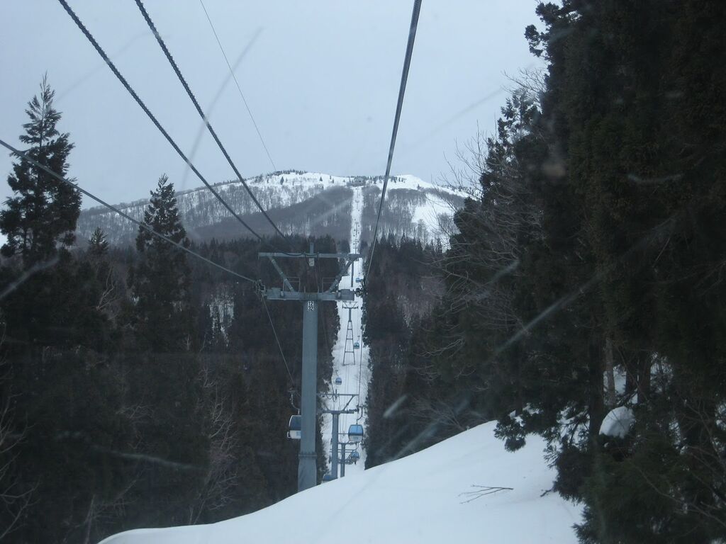 多分レギュラーシーズン最後かな オレ速 B級ツアー