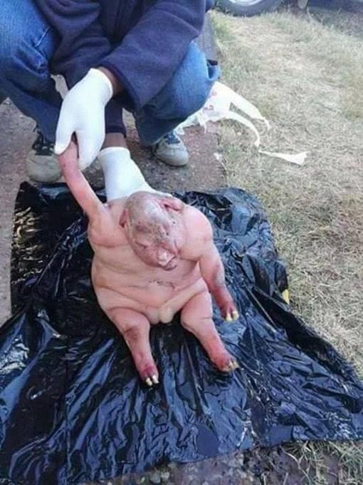 no title
