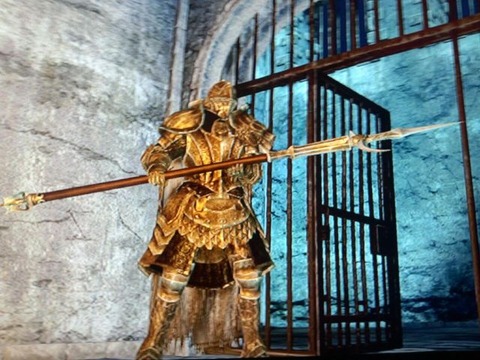 photo_6
