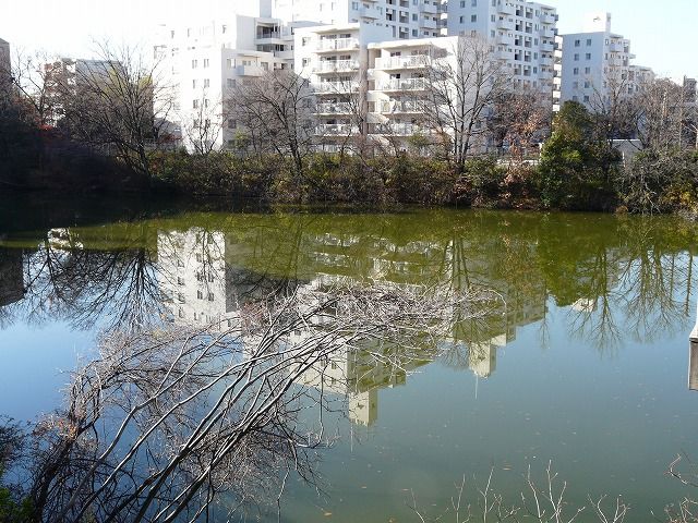 天竺川の源流を探して 景色の向こう側 元 機械修理屋さんのお散歩日記 天竺川の源流を探して 景色の向こう側 元 機械修理屋さんのお散歩日記