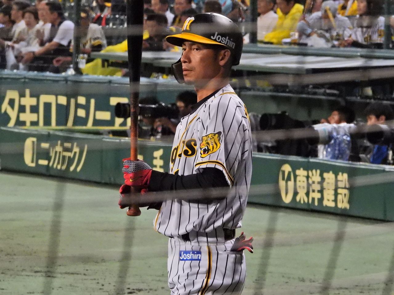 イメージ 11