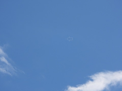 DSCN6267