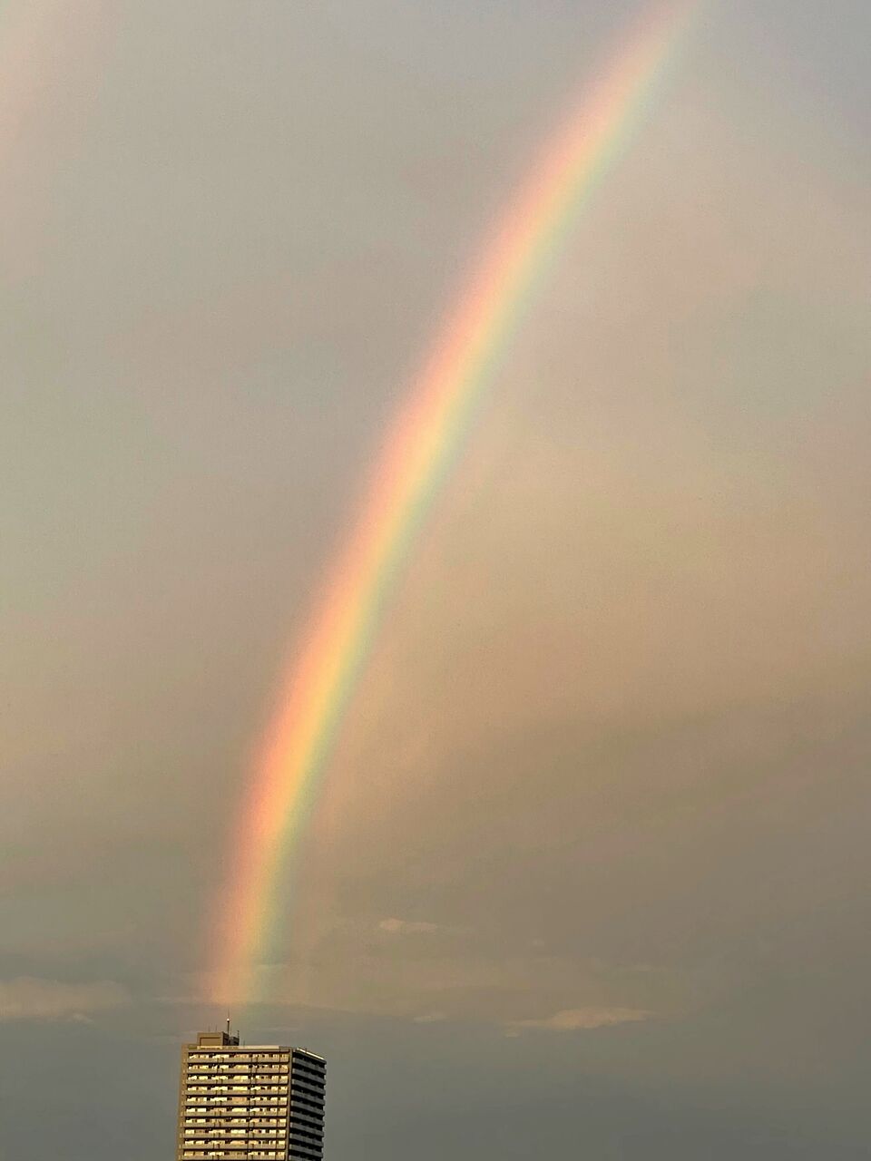 昨日の虹 Light Bucket 18のblog