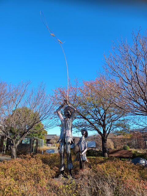 IMG_20231217_103451536