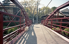 tn_Image13