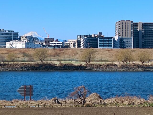 IMG_20250223_095732711