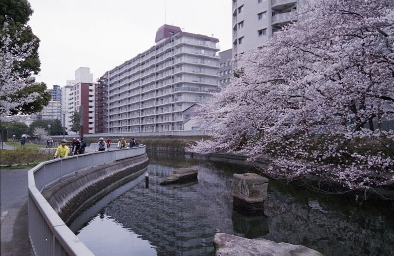 a5f86631325d344ddcfd