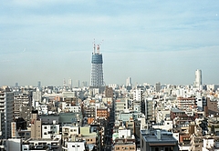 �������ĥ꡼�����륫���åɲ���