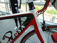 レッドホワイト ヘッド