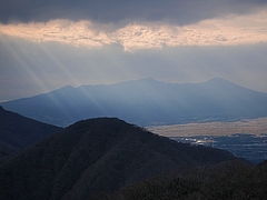 ���۸���