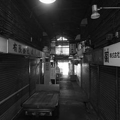 ���Ͼ쳰�Ծ�