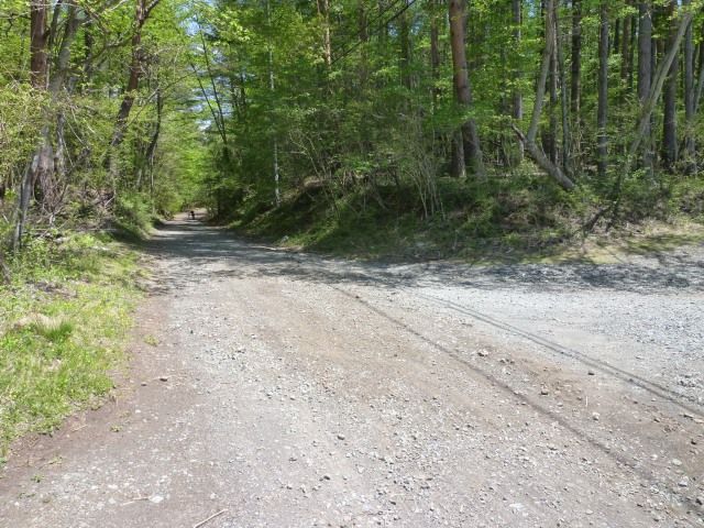 P1060834