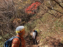 ���դ򰦤Ǥʤ���