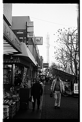 ��Į����