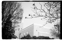 ���祭���ѥ�