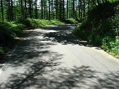 �ˤ䤫���Ф꤬4-5���³��