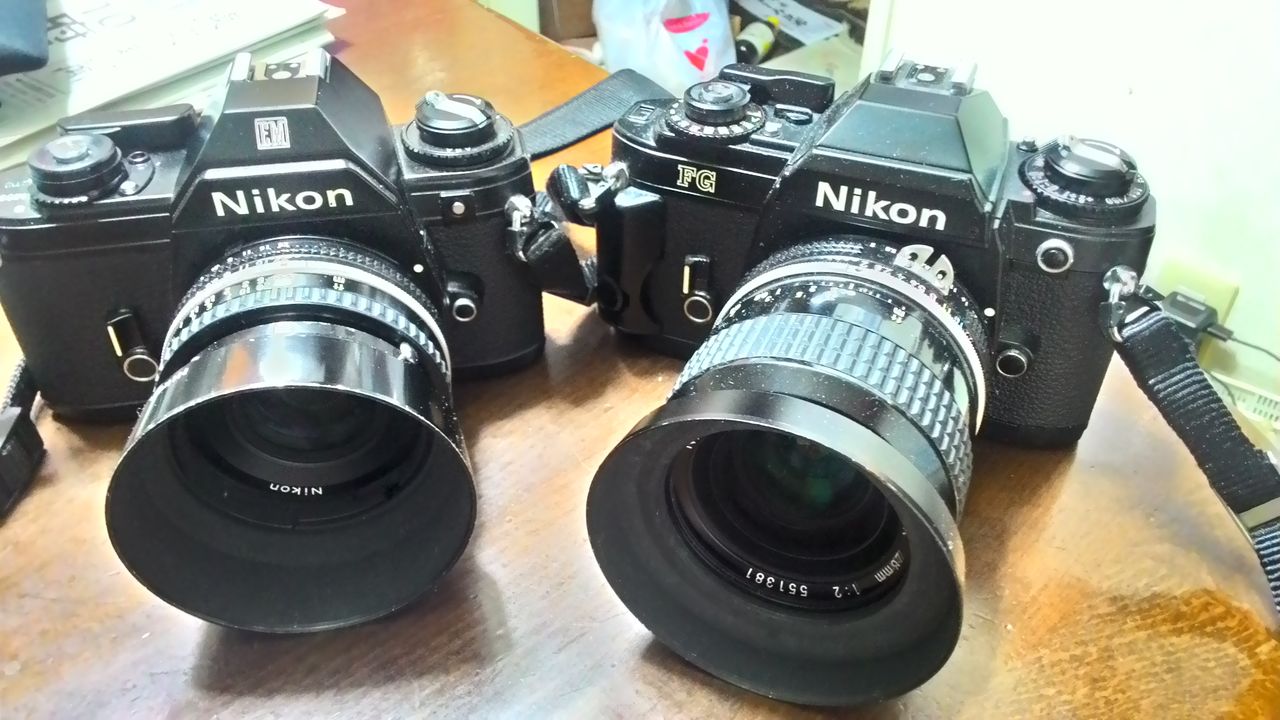 P_20160628_052023_HDR