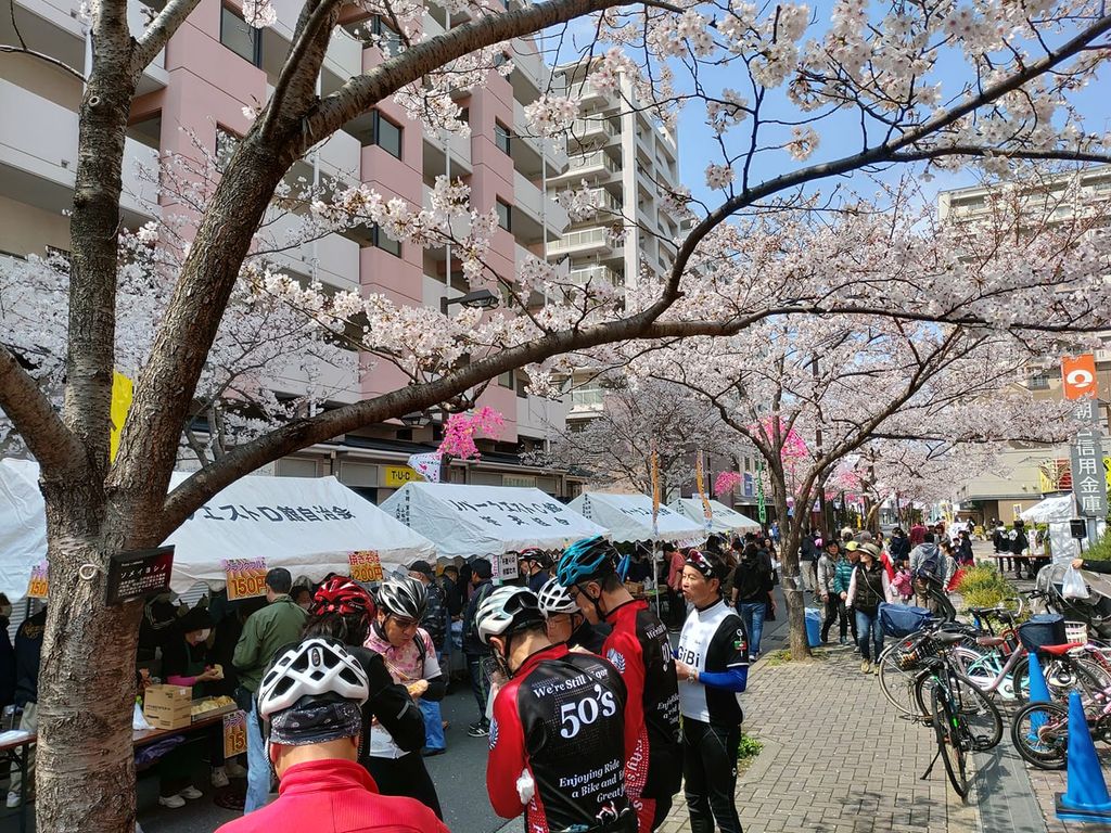 55935591_2537575046287521_5549530326948118528_o