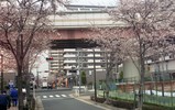 1f8b076a.jpg