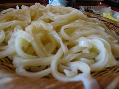 腰の強いうどん