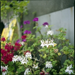 tn_Image21