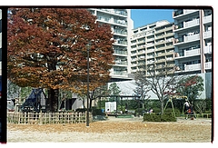 ����ݤݸ��ࡡ��