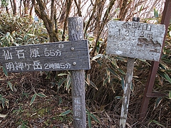 �������ĺ